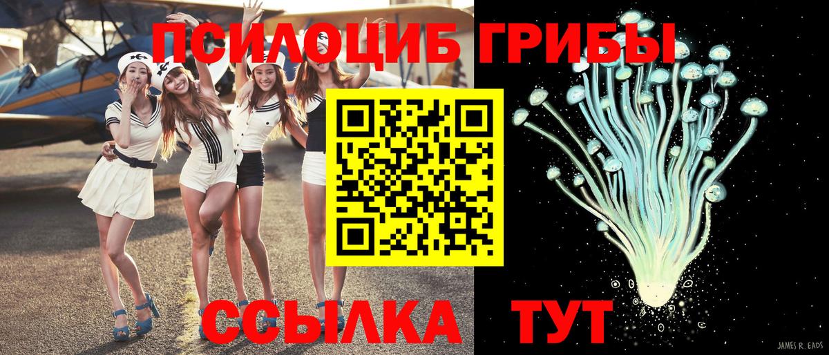 Галлюциногенные грибы прущие грибы Ливны