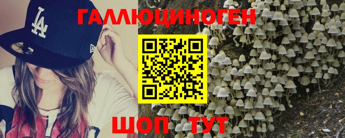 Ливны  Галлюциногенные грибы GOLDEN TEACHER  Вход с VPN 